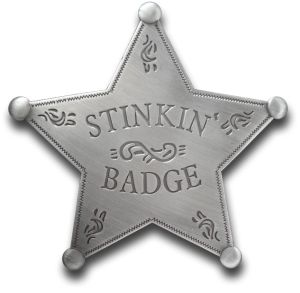 Badge - Tin Star - Texas Ranger
